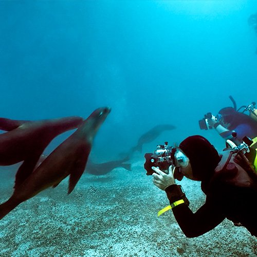 Best Galapagos Cruise Deals