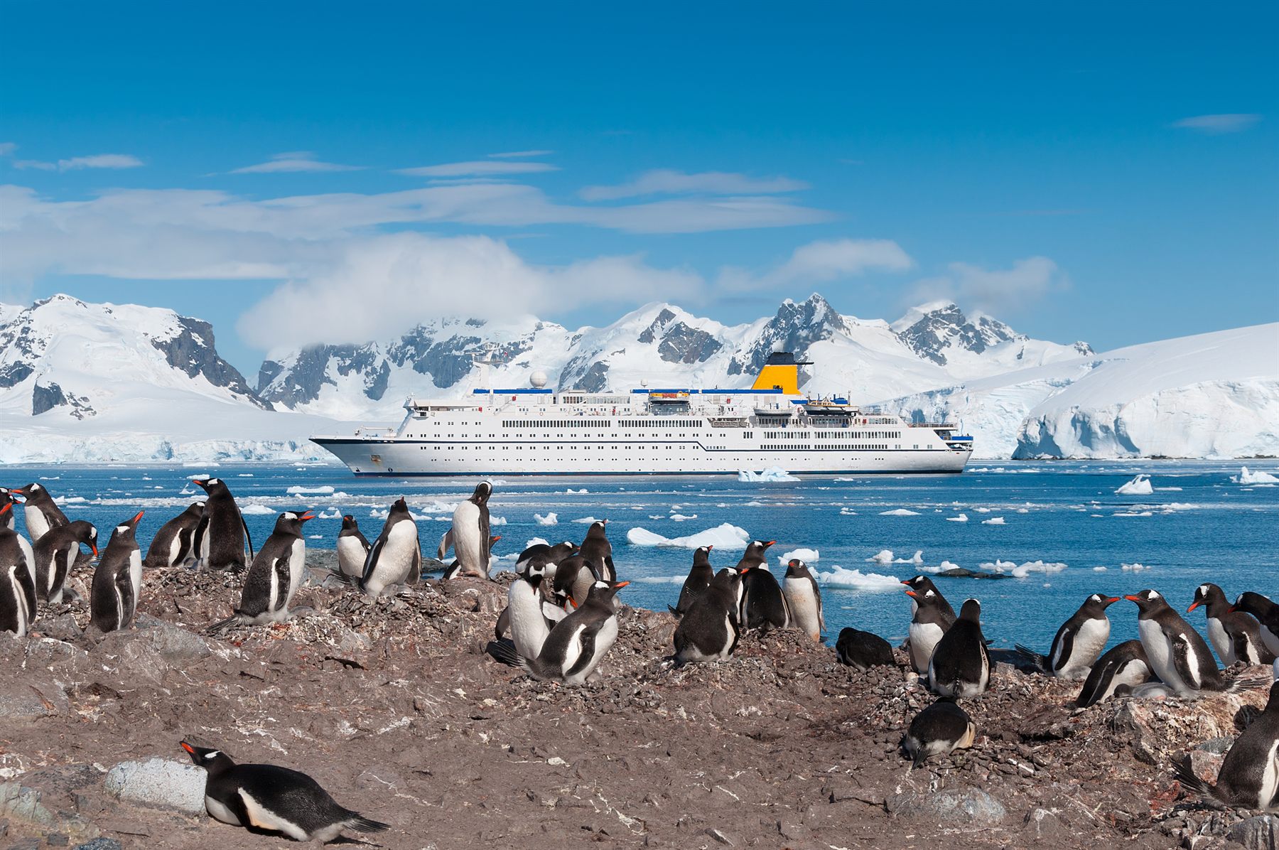 Antarctica Adventure Cruises — Antarctica Adventure Cruises
