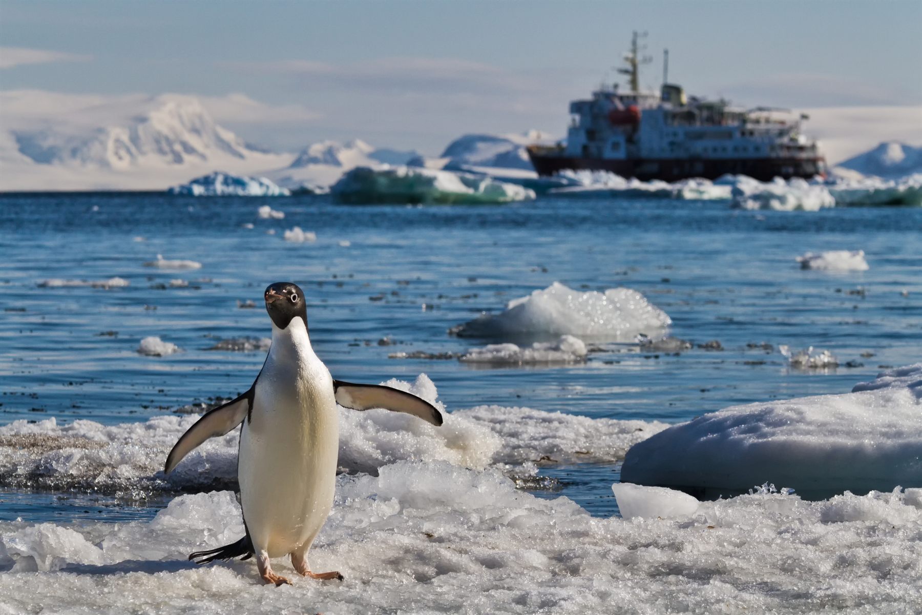 A small expedition cruise ship among Antarctic icebergs